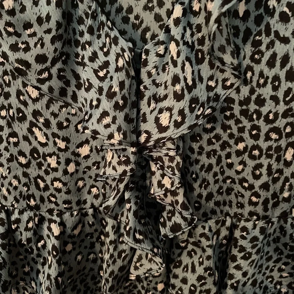 Zara Long Sleeve Animal Print Ruffle Mini Dress